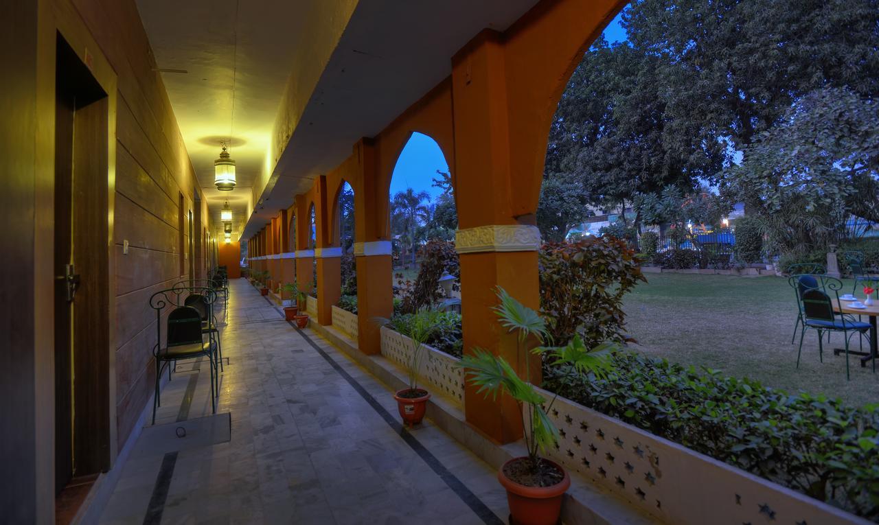 Treehouse Amaara A Boutique Hotel Jodhpur  Exteriör bild